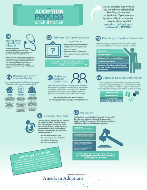 Law Infographic, Gestalt Principles, Domestic Adoption, Adoption Resources, Family Printables, Process Infographic, Open Adoption, Adoptive Family, Infant Adoption