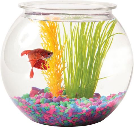 Create a fun underwater environment with Aqua Accents Sphere Plastic Fish Bowl. Constructed of impact-resistant, crystal clear thermoplastic, it’s designed to last. It makes the perfect beginner tank for Guppies, Zebra Danios and Bettas. Measuring 7 Colorful Rocks, Glass Fish Bowl, Fish Bowls, Goldfish Bowl, Glass Aquarium, Fish Supplies, Aquarium Design, All Fish, Marble Decor