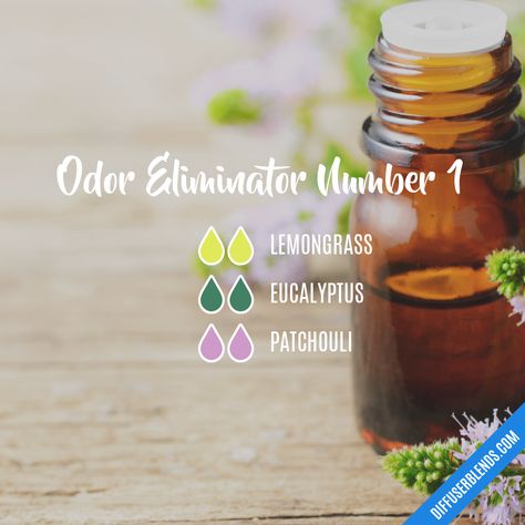 Floral Essential Oils, Essential Oil Diffuser Blends Recipes, Essential Oils Gifts, Essential Oil Diffuser Recipes, Oil Diffuser Recipes, Essential Oil Mixes, Diffuser Blend, Diffuser Recipes, Carrier Oil