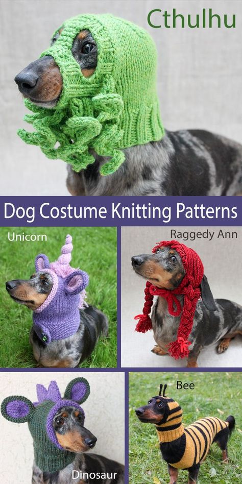 Knitting Patterns For Dogs, Crochet Dog Hat, Knitting Patterns Free Dog, Crochet Dog Clothes, Dog Sweater Crochet Pattern, Crochet Costumes, Dog Sweater Pattern, Costumes For Halloween, Crochet Dog Patterns