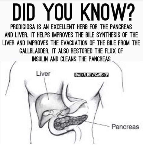 Alkaline Vegan Shop on Instagram: “Prodigiosa stimulates pancreas and liver secretions, which in turn aid the digestive process.  The digestive tract is a breeding ground for…” Pancreas Cleanse, Dr Sebi Recipes, Alkaline Vegan, Digestive Tract, Vegan Shopping, Dr Sebi, Digestion Process, Alkaline Diet, Alkaline Foods