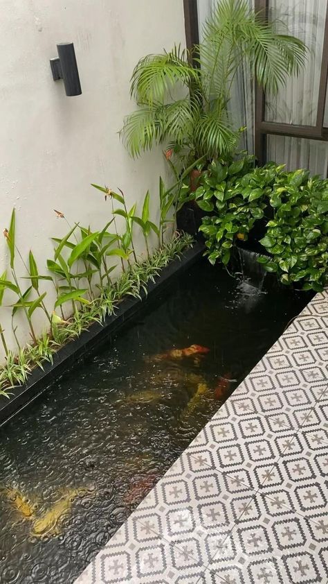 Balcony Fish Pond Ideas, Small Atrium Ideas, Small Fish Pond Ideas, Garden Fish Pond Ideas, Jardin Zen Interior, Fish Pond Ideas, Small Fish Pond, Fish Ponds Backyard, Small Backyard Garden Design