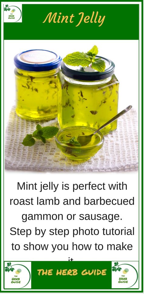 The perfect accompniament to lamb, apple mint jelly. Step by step instructions with photos to guide you through the process. It's easy Apple Mint Jelly Recipe, Preserving Mint, Mint Jelly For Lamb, Scottish Meat Pie Recipe, Mint Jelly Recipe, Sweet Chilli Sauce Recipe, Apple Jelly, Homemade Jelly, Apple Mint