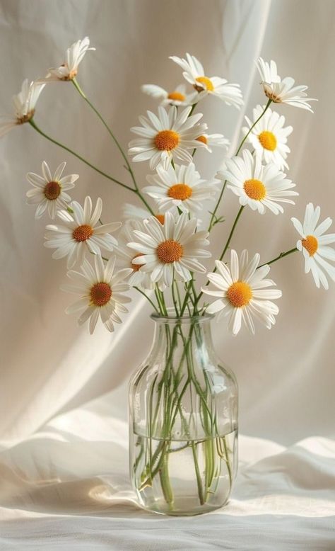 Book Vase, Daisy Daisy, Daisy Field, Daisy Bouquet, 강아지 그림, White Daisies, Beautiful Flowers Garden, Flower Background Wallpaper, Beautiful Bouquet Of Flowers