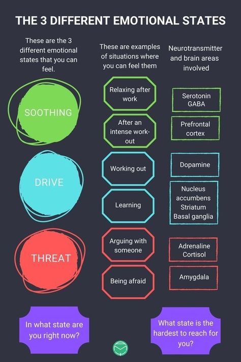 How To Identify Your Feelings, Polyvagal Theory, Mental Health Education, Health Activities, Therapeutic Activities, Therapy Counseling, Therapy Tools, Emotional Regulation, Mental And Emotional Health