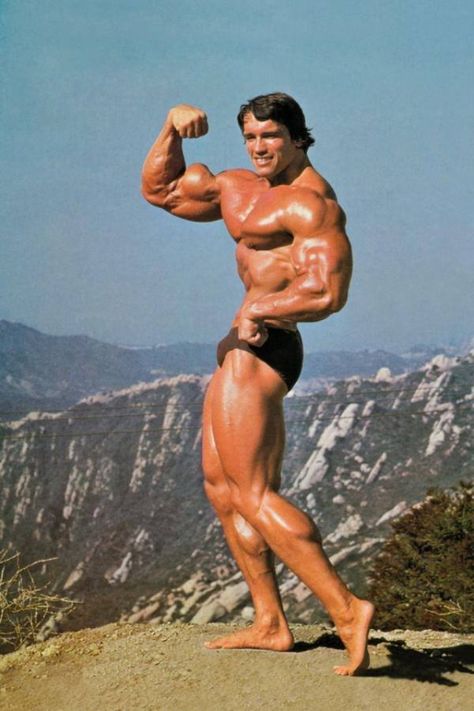 Legion Arnold Schwarzenegger Gym, Arnold Bodybuilding, Arnold Schwarzenegger Movies, 남성 근육, Arnold Schwarzenegger Bodybuilding, Schwarzenegger Bodybuilding, Bodybuilding Pictures, Pumping Iron, Mr Olympia