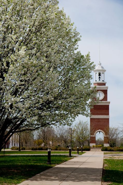 Spring at Union University Virginia Union University, Longwood University, West Tennessee, Wesleyan University Connecticut, Union University, Union College Schenectady, Grad Ideas, Tennessee, University