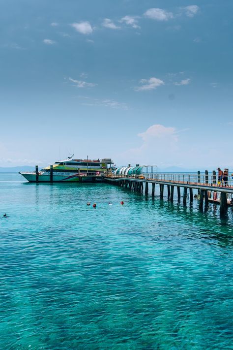 Visit Green Island to experience Great Barrier Reef snorkelling. The Snorkel Safari Tour can be added onto your experience for $40 and it’s definitely an experience you don’t want to miss. The tour includes a boat site out to the outer Green Island reef wall with magnificent coral formations & 50 minutes of snorkel time. Green Island, Green Island Cairns, Great Barrier Reef Travel, Heart Island Great Barrier Reef, Australia Snorkeling, Barrier Reef Australia, Cairns Australia, Great Barrier Reef Australia Snorkeling, Australia Beach