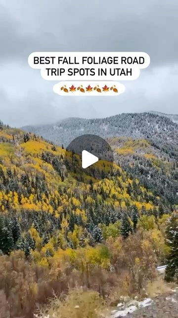 Anna Cook | Utah Hiking + Travel Mom Creator on Instagram: "Best Fall Foliage Spots in Utah 🍁
Save for later planning! 

Utah road trip is always a good idea, especially in the fall! 

1. Greater Bryce Canyon
2. La Sal Mountains 
3. Guardsmens Pass 
4. Alpine Scenic Loop 
5. Kyhv Peak Road 
6. Nebo Loop 

Usually September 24-October 15 is the best time for fall color depending on the location. 

Follow me @adventurewithanna_ for more adventure travel inspo, tips and itineraries ✨
•
•
•
•
•
#visitutah #utahunique #fallphotography #northernutah #saltlakecity #utah #travelguides #utahgram #utahfall #fallphotos #fallroadtrip #usatravel" The Great Salt Lake Utah, La Sal Mountains Utah, Living In Salt Lake City Utah, Winter In Salt Lake City Utah, Hikes Near Salt Lake City Utah, Fall Foliage Road Trips, Visit Utah, Fall Road Trip, Utah Road Trip