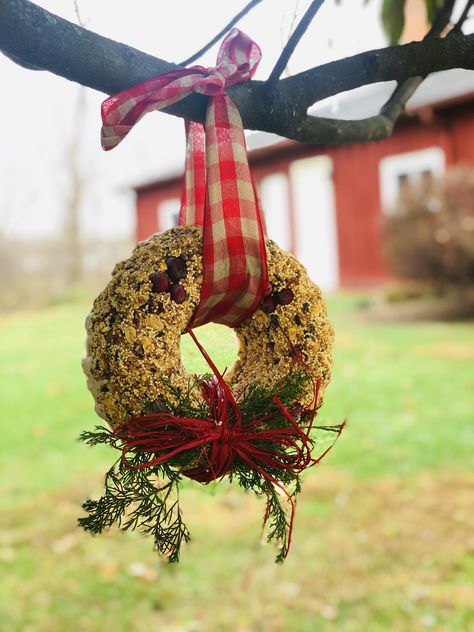 Ornaments For Birds To Eat, Bird Wreath Feeders, Diy Birdseed Ornaments, Bird Nest Ornaments, Birdseed Wreath Recipe, Birdseed Ornaments Recipe, Birdseed Wreath, Birdseed Ornaments, Bird Seed Wreath