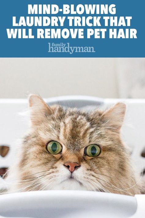 Cat Information, Dryer Repair, Cat Hair Removal, Clean Your Washing Machine, Cleaning Pet Hair, Hair Cleaning, Cleaning Hacks Tips And Tricks, Clean Washing Machine, Cat Info