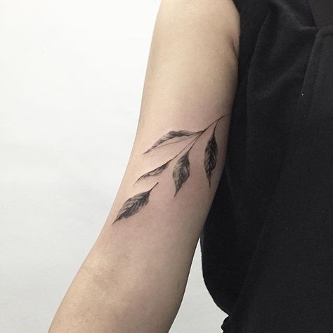 Sweet Basil  #sweetbasil #planttattoo #blacktattoo #blackwork #tattoo #tattoos #ink #스위트바질 #식물타투 #타투 #타투이스트홍담 Tattoo Plant, Plant Tattoo, Botanical Tattoo, Sweet Basil, Nature Tattoos, Skin Art, Forearm Tattoos, Blackwork Tattoo, Piercing Tattoo