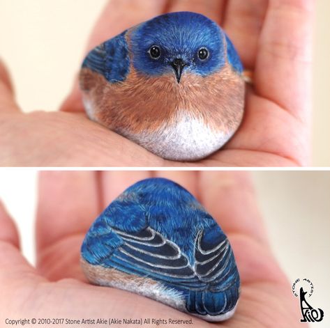 Bluebird Painting, 동화 삽화, Painted Rock Animals, Art Pierre, Painted Rocks Diy, Rock Painting Patterns, Pet Rocks, Rock Painting Designs, Stone Crafts