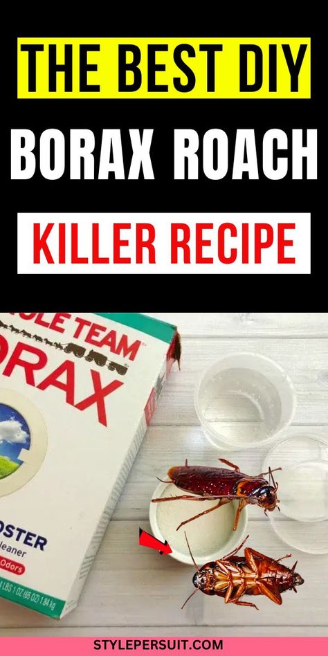 Roaches are one of the most persistent pests to deal with, and if you’re tired of seeing them crawling around your home, borax can be your secret weapon. Borax, a natural mineral, is not only effective but also a safer alternative to chemical-laden insecticides. This DIY roach killer recipe is both budget-friendly and incredibly simple to make. With just a few common ingredients, you can create a powerful solution that will have those pesky roaches gone for good. Roach Infestation, Kill Weeds Naturally, Kill Roaches, Roach Killer, Mice Repellent, Rodent Repellent, Pest Prevention, Bug Killer, Diy Pest Control