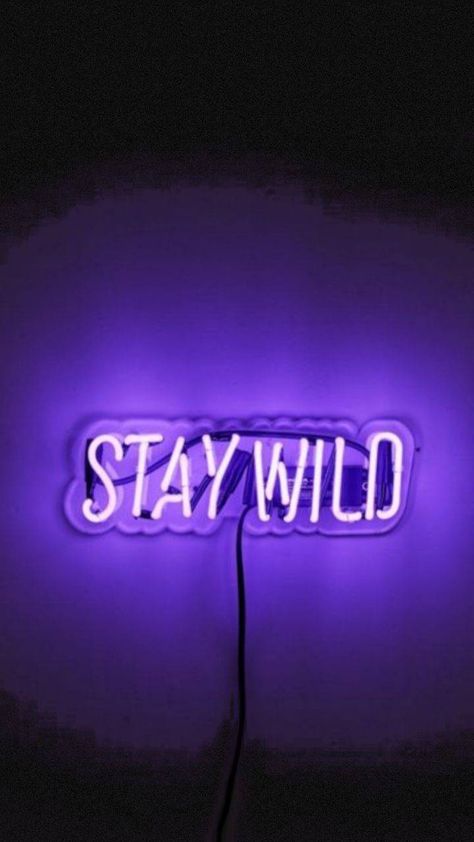 Download Neon Sign Stay Wild Wallpaper by BeatzXWife - 0d - Free on ZEDGE™ now. Browse millions of popular neon Wallpapers and Ringtones on Zedge and personalize your phone to suit you. Browse our content now and free your phone Neon Home Decor, Wall Art Neon, Violet Aesthetic, Neon Quotes, Neon Wall Art, Purple Neon, Purple Vibe, Bedroom Wall Collage, Neon Wall