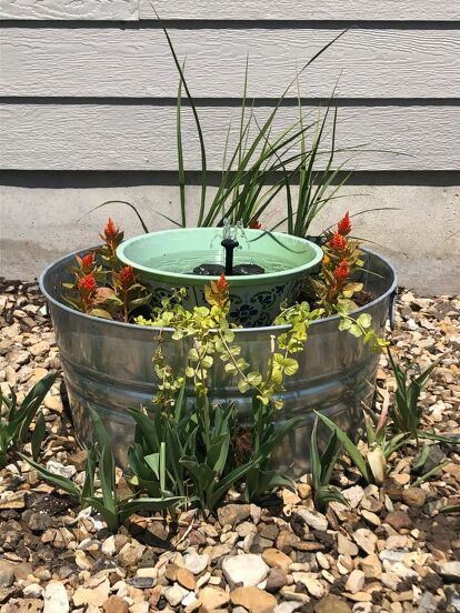 Make A Bird Bath, Bird Bath Planter, Kid Friendly Backyard, Landscaping Blocks, Make A Bird, Solar Bird Bath, Fun Planters, Concrete Bird Bath, Diy Water Fountain