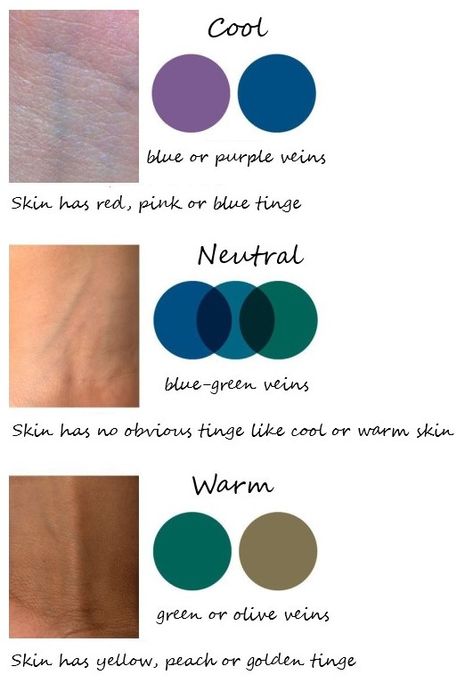 Warm Skin Tone Colors, Teal And Olive Green, Foundation Photography, Type Of Makeup, Skin Tone Makeup, Neutral Skin Tone, Green Veins, Skin Undertones, Artist Tips