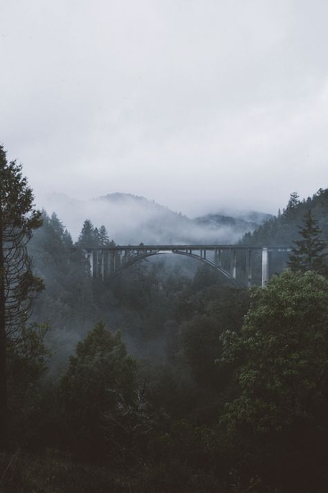 jrxdn:   Middle of Nowhere | Instagram | Facebook Forest Bridge, Forest Photos, Foggy Forest, Middle Of Nowhere, Misty Forest, Outdoor Wood, Nature Aesthetic, The Bridge, Nature Travel