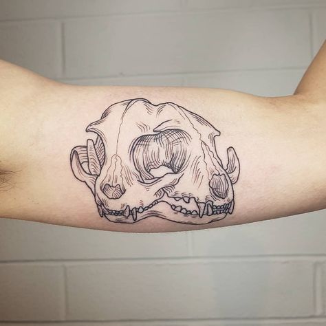 Cool Animal Skulls, Animal Skull Hand Tattoo, Janus Cat, Canine Tooth Tattoo, Blackwork Animal Tattoo, Cat Skeleton Tattoo, Animal Skeleton Tattoo, Bones Tattoo, Oddities Tattoo