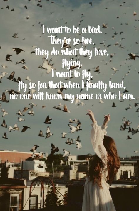 “I want to be a bird, they’re so free. They do what they love, flying. I want to fly, fly so far that when I land no one will know my name or who I am” This quote comes from someone who’s thoughts weren’t in the best place and I apologize for quoting this, but the words really moved me for I often feel this way. I Want To Fly Quotes, Free Like A Bird Quotes, Flying Bird Quotes, Birds Flying In The Sky Quotes, Fly Like A Bird Quotes Inspiration, Quotes About Birds Flying, Birds Quotes Flying, Free As A Bird Quotes, Free Bird Quotes