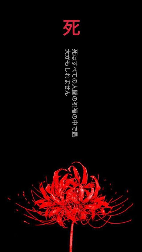 Red Spider Lily Wallpaper, Spider Lily Wallpaper, Tokyo Ghoul Flower, Mystic Wallpaper, Lycoris Radiata, Soulmates Art, Blood Wallpaper, Japanese Wallpaper Iphone, Lily Wallpaper