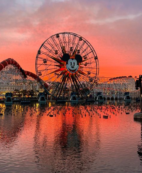 Wallpaper California, Food At Disneyland, Pixar Pier, Aesthetic View, Disneyland Food, Water Reflection, Disney Photography, Adventure Aesthetic, Disneyland California