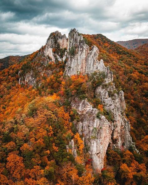 Seneca Rocks, Virginia Homes, All I Ever Wanted, Autumn Scenery, Fall Pictures, Blue Ridge, Travel Bucket, Happy Thanksgiving, West Virginia