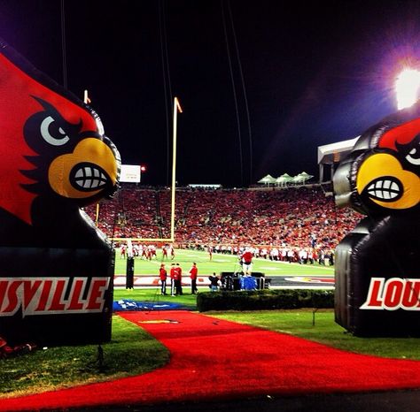 University of Louisville , KY----Love to cheer for multiple sports! Football games are so much fun!! Louisville Football, Louisville Basketball, College Lifestyle, College Vision Board, College Cheer, University Of Louisville, College Aesthetic, Dream College, Football Love