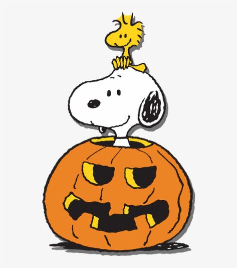 Woodstock Snoopy, Great Pumpkin Charlie Brown, Snoopy Dog, Charlie Brown Halloween, Peanuts Halloween, Snoopy Halloween, Snoopy Images, Halloween Express, Snoopy Wallpaper