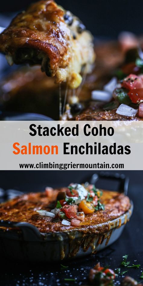 Stacked Coho Salmon Enchiladas - Climbing Grier Mountain Salmon Enchiladas, Fall Treats Recipes, Coho Salmon, Grilled Salmon Recipes, Tilapia Recipes, Red Enchilada Sauce, Cooking Salmon, Orange Recipes, Baked Salmon