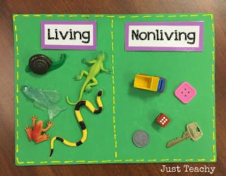 Living Vs Nonliving Kindergarten, Living And Nonliving Kindergarten, Non Living Things, Science Corner, Biology Games, Pre-k Science, Kindergarten Stem, Living And Nonliving, Kindergarten Units