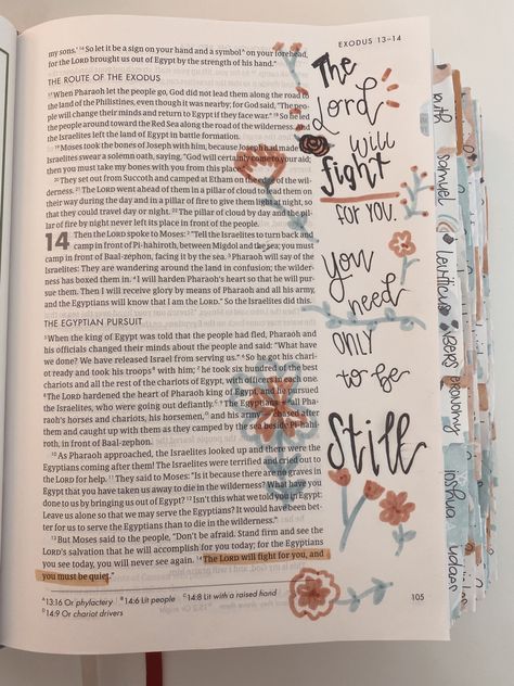 New Testament Bible Journaling, The New Testament Bible Journaling, Exodus Bible Journaling, Bible Journaling Exodus, Old Testament Bible Journaling, Bible Journaling Inspiration, Kingdom Mindset, Job 9 Bible Journaling, Bible Recap