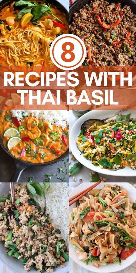 collage of images of recipes with thai basil as an ingredient Thai Basil Noodle Recipe, Recipes That Use Thai Basil, What To Make With Thai Basil, Thai Basil Pasta, Thai Basil Vegetables, Thai Basil Uses, What To Do With Thai Basil, Dinners With Basil, Fresh Thai Basil Recipes