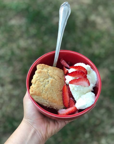 Sourdough Discard Shortbread, Sourdough Shortbread, Discard Scones, Sourdough Discard Scones, Sourdough Basics, Flaky Scones, Sourdough Ideas, Sourdough Starter Discard Recipes, Starter Discard Recipes