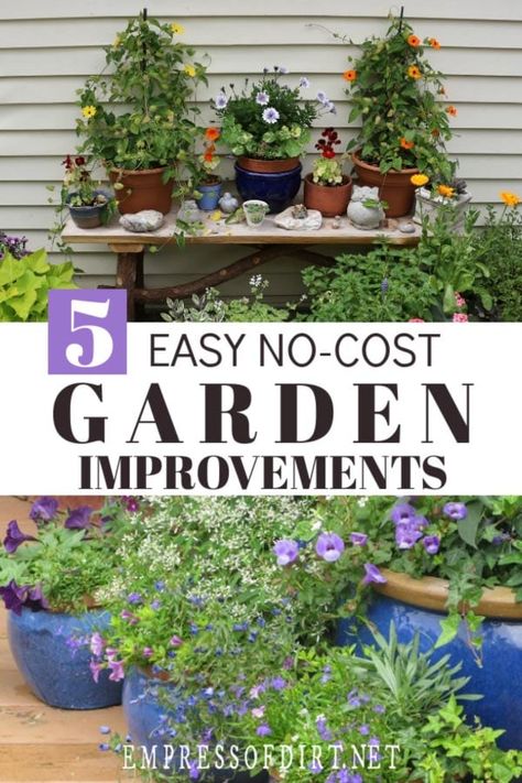 Improve Your Garden Instantly Without Spending a Dime | Empress of Dirt Garden Ideas Recycled, Backyard Landscape On A Budget, Unused Garden Space Ideas, Cheap Gardening Ideas, Small Gardens On A Budget, Easiest Landscaping Ideas, New Garden Ideas, Frugal Gardening Ideas Diy, Ideas To Decorate Your Garden