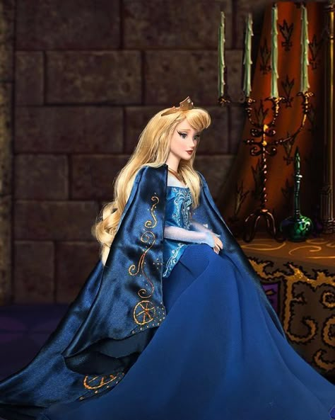 👑 | Instagram Sleeping Beauty Cosplay, Sleeping Beauty Doll, Princess Aurora Dress, Sleeping Beauty 1959, Disney Character Art, Disney Animator Doll, Disney Princess Dolls, Disney Fantasy, Disney Sleeping Beauty