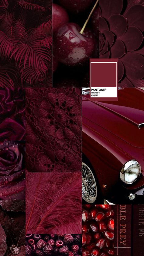 #cranberry #aesthetic #wallpaper Cranberry Aesthetic, Maroon Color Palette, Maroon Aesthetic, Pantone Colour Palettes, Cherry Wine, Red Colour Palette, Dramatic Style, Shades Of Burgundy, Cranberry Color