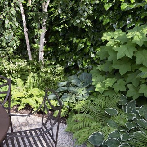 Plan Garden Design, Food Forest Garden, Garden Vertical, Home Garden Ideas, Shady Garden, Small City Garden, Backyard Garden Diy, Sustainable Gardening, Corner Garden