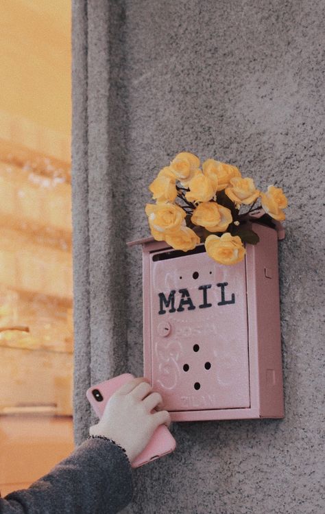 Pink Mailbox Aesthetic, Mailbox Aesthetic, Mailbox Photography, Pink Mailbox, Pink Entrance, Rustic Tea Party, Cascading Roses, Left On Read, Mailbox Flowers