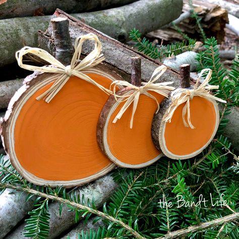 Easy DIY Wood Slice Pumpkins - this video shows how to create this cute wood slice pumpkin trio - The Bandt Life #woodslice #woodslicecrafts #easyfallcraft #easypumpkindiy #easywoodslicepumpkin #thebandtlife #bungalow47paint #bcrafty Fall Wood Slices, Wood Slice Pumpkins, Wood Slice Crafts Diy, Wood Pumpkins Diy, Paint A Pumpkin, Thanksgiving Tree, I Am 4, Wood Cookies, Wood Slice Crafts