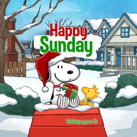 Christmas Sunday, Happy Sunday Images, Good Morning Christmas, Good Morning Winter, Weekend Greetings, Happy Sunday Morning, Sunday Greetings, Morning Memes, Snoopy Funny