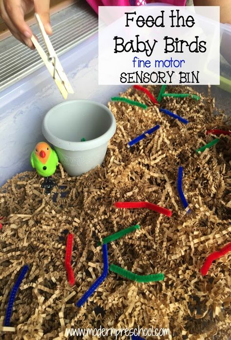 feed worms to the baby birds fine motor, color sorting sensory bin from Modern Preschool Sensory Tubs, Tree Study, Preschool Fine Motor, Baby Birds, Spring Preschool, Creative Curriculum, Motor Skills Activities, Sensory Table, Toddler Snacks