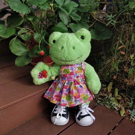 Build a bear frog wearing a colourful pinafore offering a red strawberry Plushie Photography, Build A Bear Frog Aesthetic, Bab Frogs, Build A Bear Frog, Frog Ideas, Frog Aesthetic, Paper Sun, Frog Stuff, Indie Decor