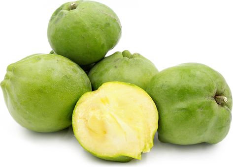 Lamertz White Sapote White Sapote, Runner's World, Live Tree, Green Fruit, Crab Apple, Buy Plants, Red Food, Granny Smith, Healthy Fruits