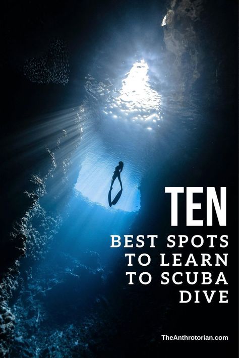 Learning how to scuba dive was one of the most amazing travel experiences. Women Scuba Diving, Neon Fish, Scuba Photography, Scuba Diving Bucket List, Best Places To Scuba Dive, Scuba Diving Spain, Belize Barrier Reef, Komodo Island, Scuba Dive