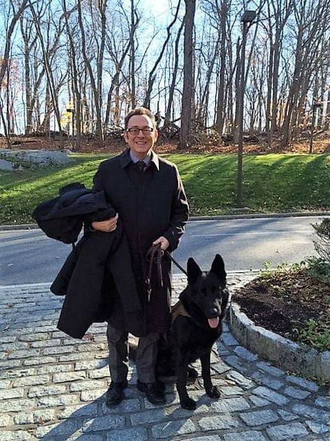 Michael Emerson, Group Of Dogs, Person Of Interest, 9th Birthday, German Shepherds, I Icon, German Shepherd, New York, Dogs