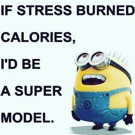 Funny Quotes Minions Humor, 10 Fun Facts Minions, Minon Sayings, Minion Memes Hilarious Laughing, Minion Memes Sarcasm, Minion Pictures, Minion Jokes, Funny Minion Quotes, Minion Quotes