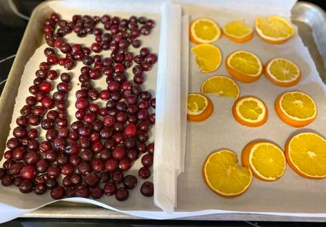 Mommy's Kitchen : Dried Orange - Cranberry Stove Top Potpourri Drying Apples For Potpourri, Orange Cranberry Potpourri, Cranberry And Orange Potpourri, How To Dry Orange Slices In Dehydrator, Cranberry Orange Potpourri Stove Gift, Dried Cranberries For Potpourri, How To Dry Oranges For Potpourri, How To Dry Fruit For Potpourri, Dried Fruit Simmer Pot Gift