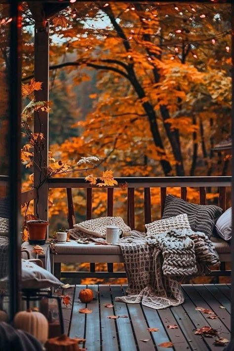 All Things Autumn, Aesthetic Fall Photos, Autumn Images, Stunning Aesthetic, Fall Living Room, Fall Images, Fall Tree, Autumn Magic, Fall Mood