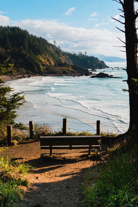 Viewpoint from Clatsop Loop in Ecola State Park, Oregon Ecola State Park Oregon, Pnw Vibes, Granola Vibes, Oregon Aesthetic, Oregon Nature, Summer Roadtrip, Pretty Nature Pictures, Oregon Life, Ecola State Park